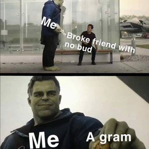 Meet your Posher, Sammy